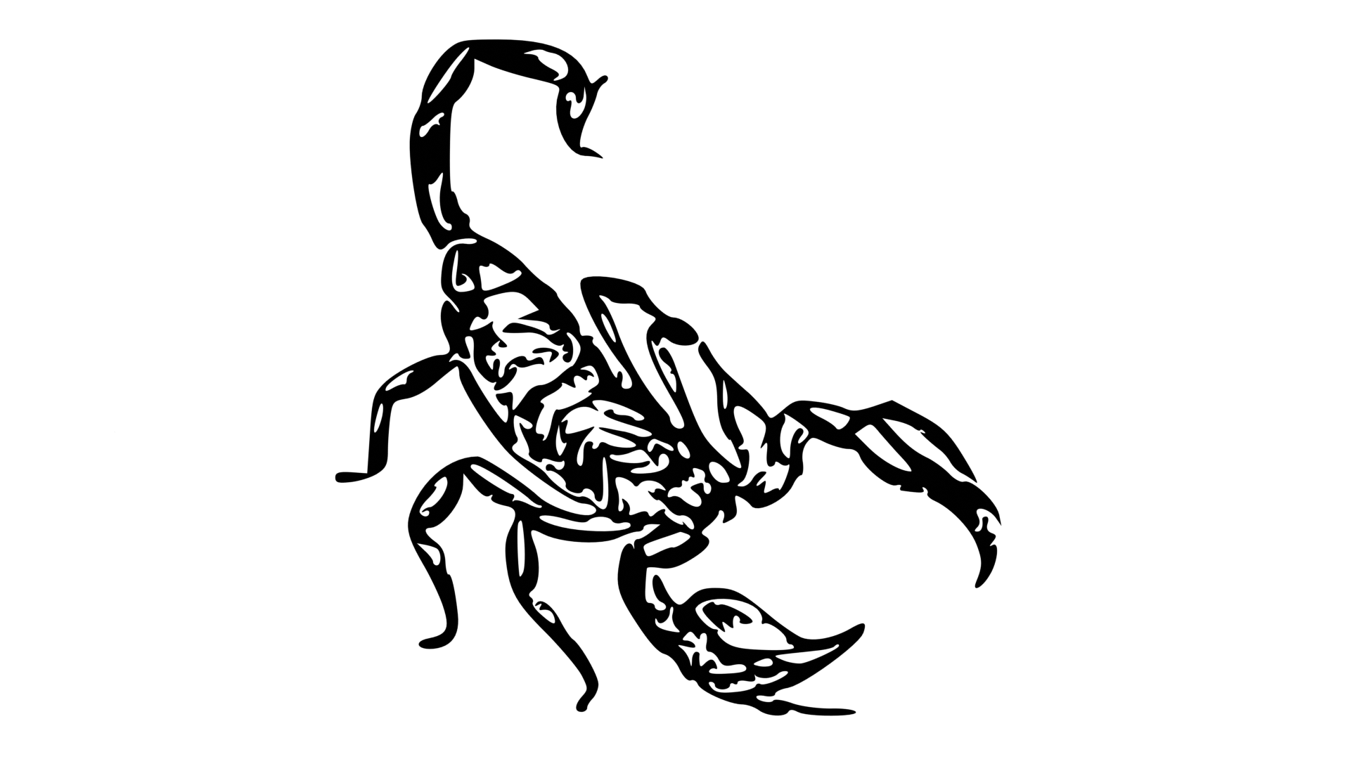 sayediscovery.com